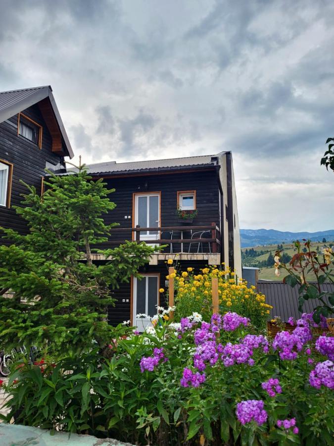 Apartment Center Zoric *